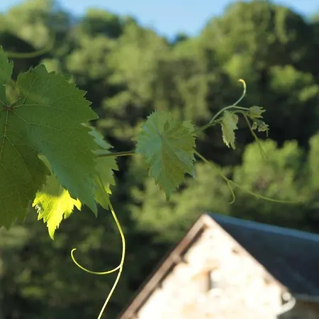 Moulin Des Borderies * Singles