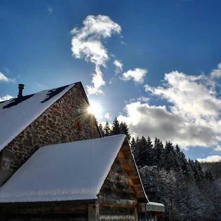 Moulin Des Borderies Bed & Breakfast